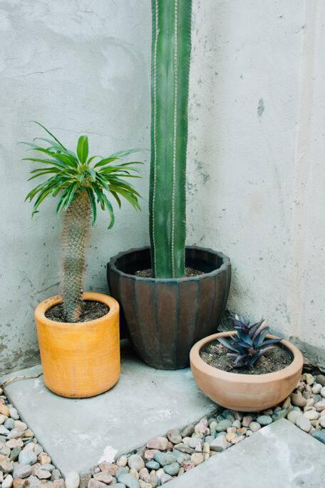 Charming 3Br Oasis, 5 Min Fr Usa - Ac In Every Rm Ciudad Juárez Exterior foto